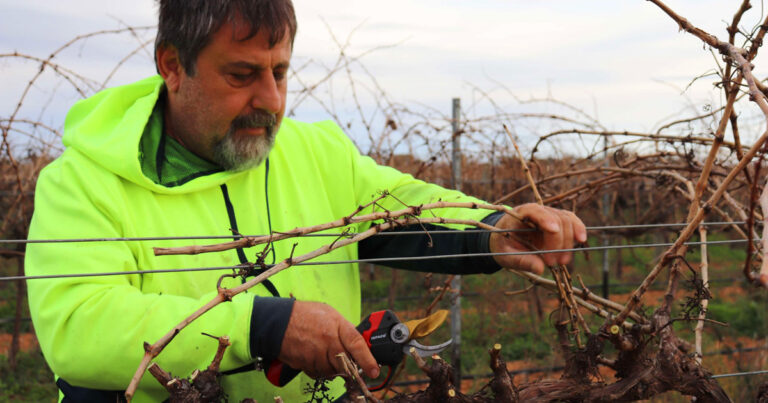 Flinders Run - A Family-Owned Winery With Exceptional Wine In Its DNA