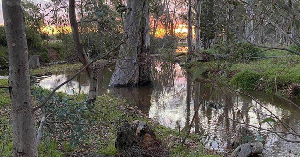Flinders Run Sanctuary